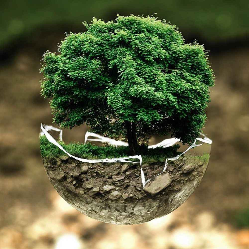 umweltschutz quadratisch