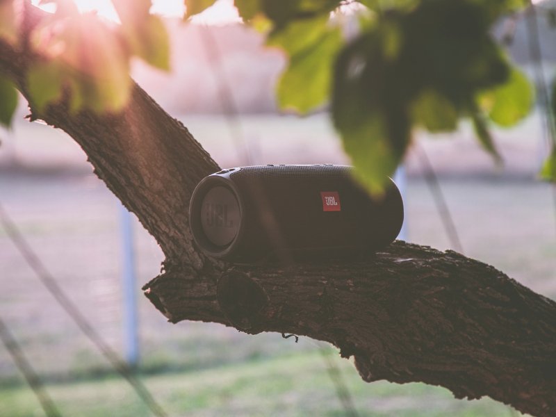JBL steht auf einem Baum